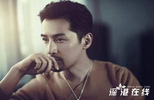 娱乐大爆料胡歌邢邵林,揭秘娱乐圈幕后故事  第2张